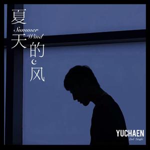 夏天的风 (The Summer Wind)（翻自 温岚）