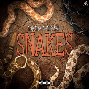 SNAKES (feat. IMB KAH)