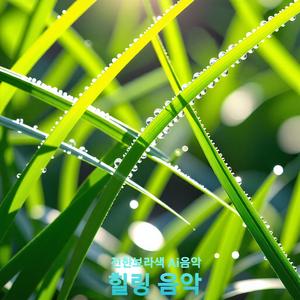 힐링음악 고요의 힘