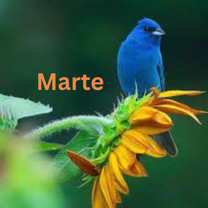 Marte