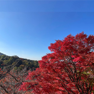 あなたのもとへ