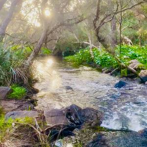 LITTLE MOUNTAIN CREEK