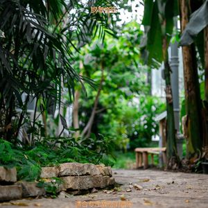 正在学习绝妙的爵士