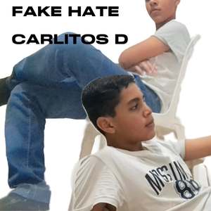 Fake Hate