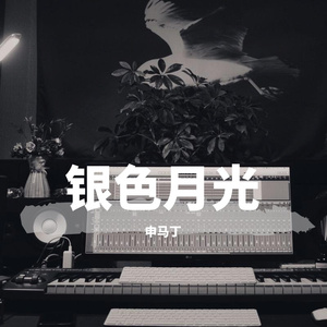 银色月光