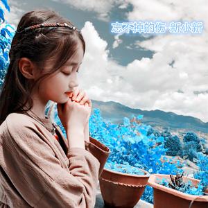 忘不掉的伤（抖音DJ）