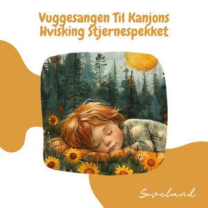 Forsvunnet