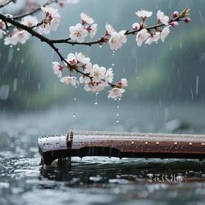 杏花弦外雨 (Cover 司夏 & CRITTY)