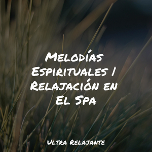 Meditación Entusiasta