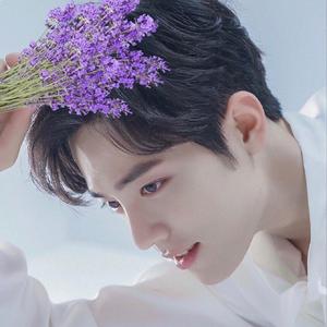 何其有幸(肖战2019年生贺歌)