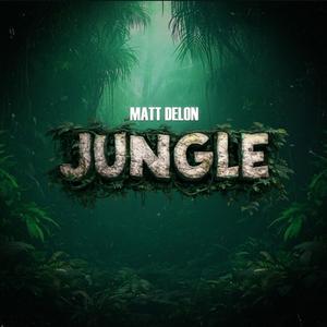 Jungle