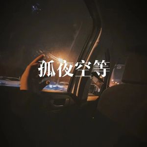 孤夜空等