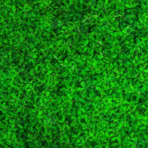 Grass Hook