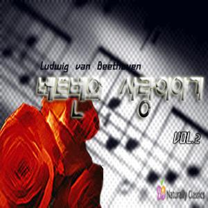 Beethoven Piano Sonata Op10 Nr.2 1악장