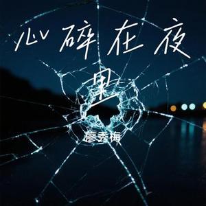 心碎在夜里