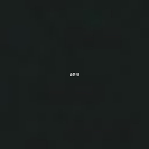 슬픈 비