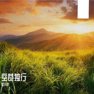 空巷独行