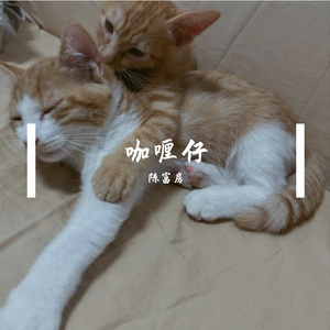 咖喱仔
