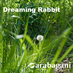 Dreaming Rabbit