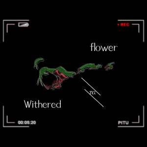 Withened Flower
