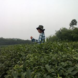 52赫兹的你（翻自 谢安琪）