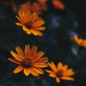 Beautiful Mistakes (Sped Up)