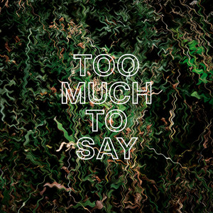 Too Much to Say (Single Edit)