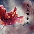 风在雨中恋
