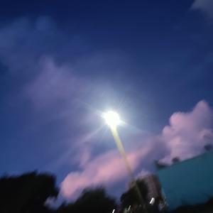 ProFit! (feat. Xtuhsci)