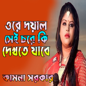 ওরে দয়াল সেই চরে কি দেখতে যাবে