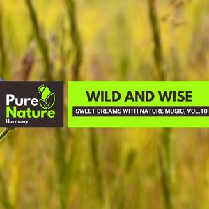 Spheroidal Boiling Bubbles