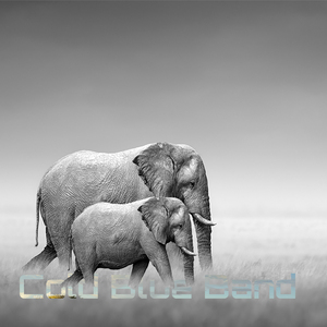 Encontros e despedidas