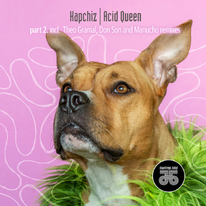 Acid Queen (Don Son Remix)