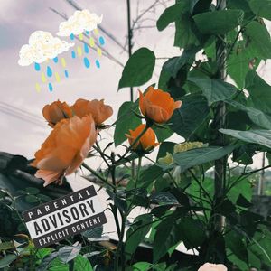 有关于你的梦（Prod.Siren)