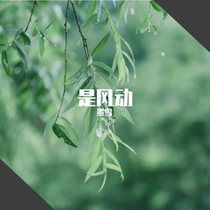 是风动