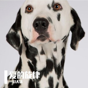 爱的旋律prod.tired x e.pine