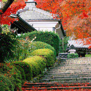 全世界在你身后