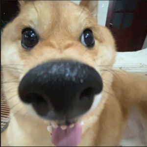 我想part21738212734369