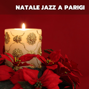 Institute of the segment