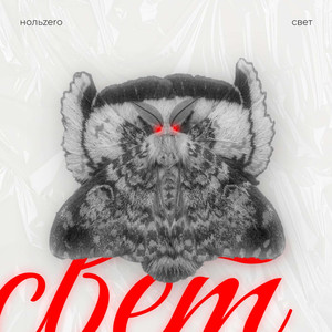 Свет