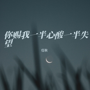 你赐我一半心酸一半失望