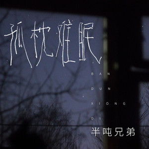 孤枕难眠 (伴奏)