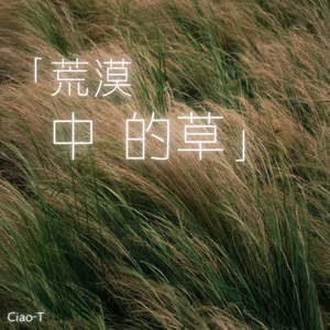 荒漠中的草（沧桑版）