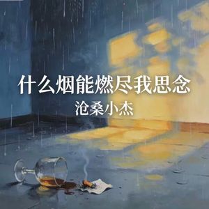 什么烟能燃尽我思念
