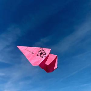 La vie en rose
