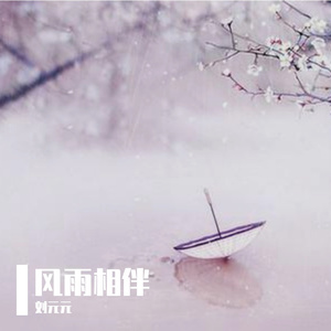 风雨相伴