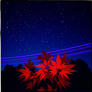 クレハ -Kureha- #DivaTransformation (#Side : Novael Hikarino)  by WryCrossfader #FreeAthena