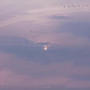 pink sky(2.0)