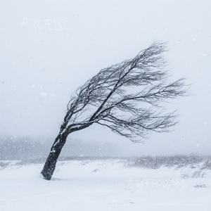 雪不停下风不停刮 (DJ版)