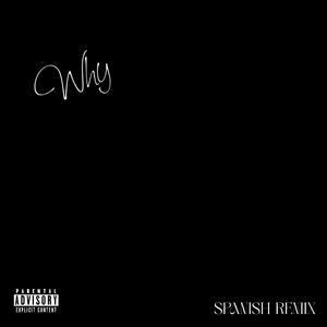 Why (Spanish Remix)